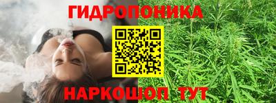 прущие крисы Камень-на-Оби