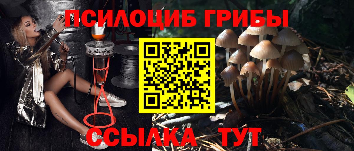 Галлюциногенные грибы прущие грибы  Вход с VPN  Лосино-Петровский  Псилоцибиновые грибы GOLDEN TEACHER 